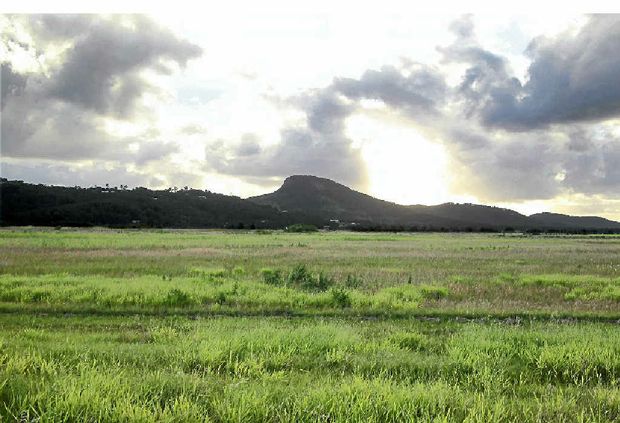 caneland sunshine coast